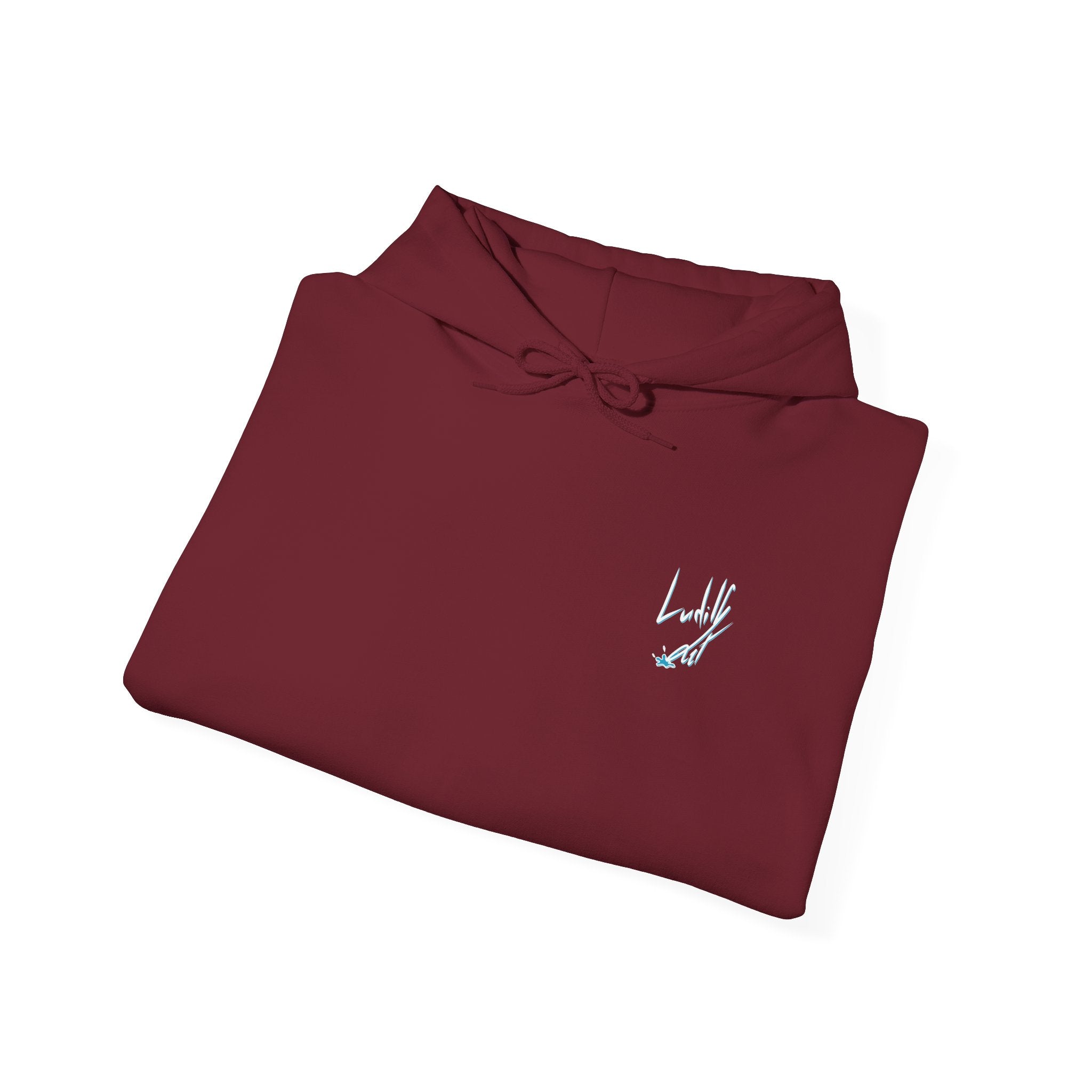 Lazy it's Crazy Unisex Heavy Blend™ Hooded Sweatshirt
