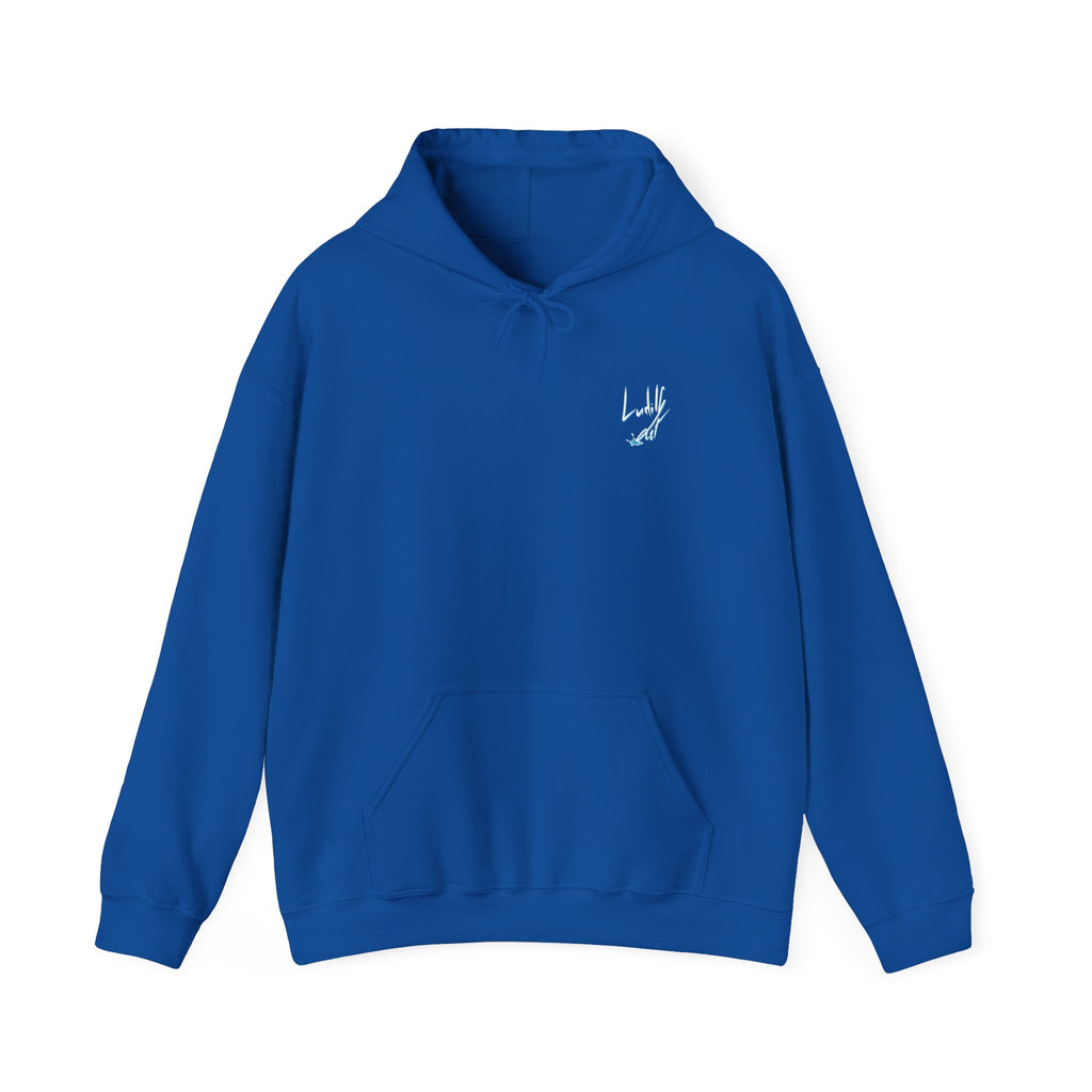 "This Is The Future" Hoodie — Illustrated Graphic Hoodie