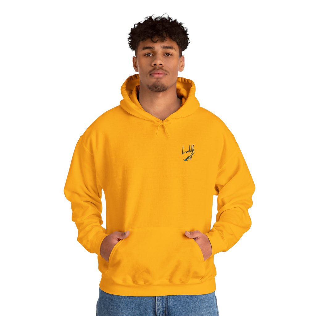 "This Is The Future" Hoodie — Illustrated Graphic Hoodie