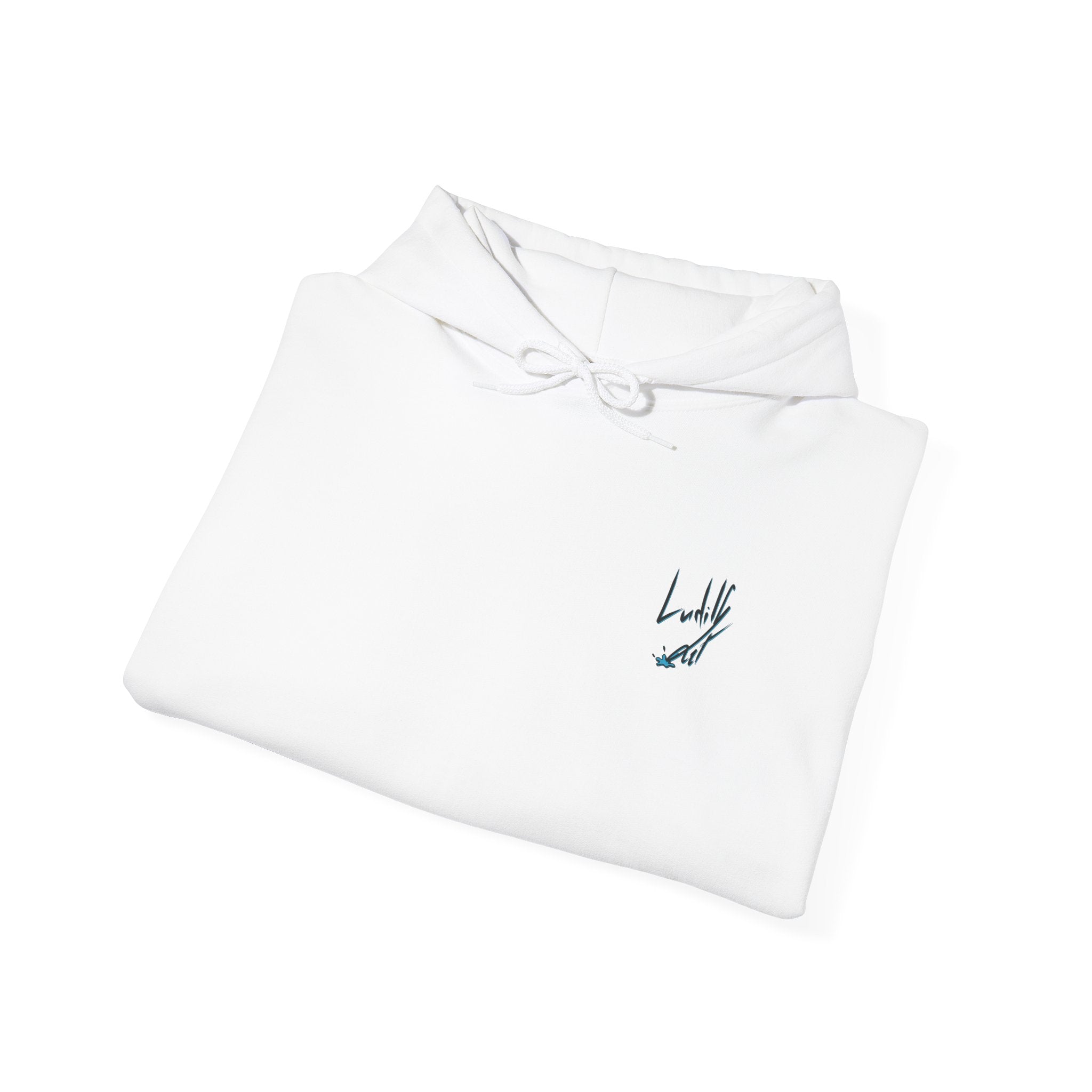 Lazy it's Crazy Unisex Heavy Blend™ Hooded Sweatshirt