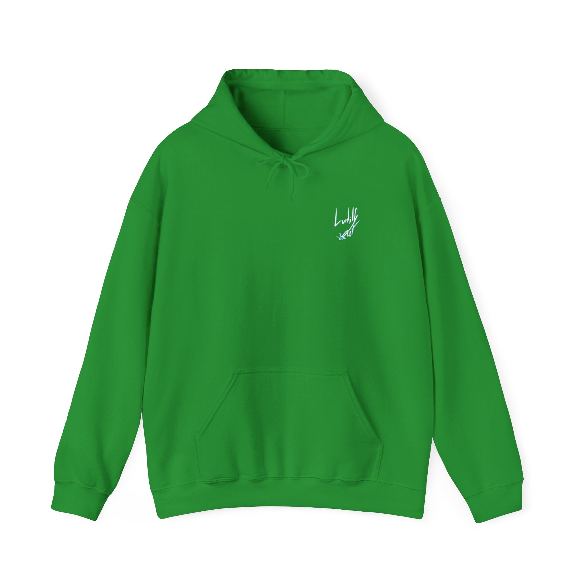 "This Is The Future" Hoodie — Illustrated Graphic Hoodie
