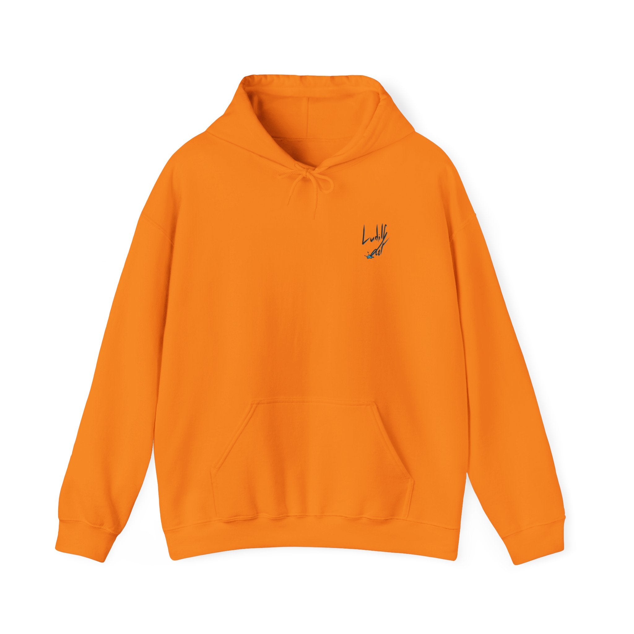 Lazy it's Crazy Unisex Heavy Blend™ Hooded Sweatshirt