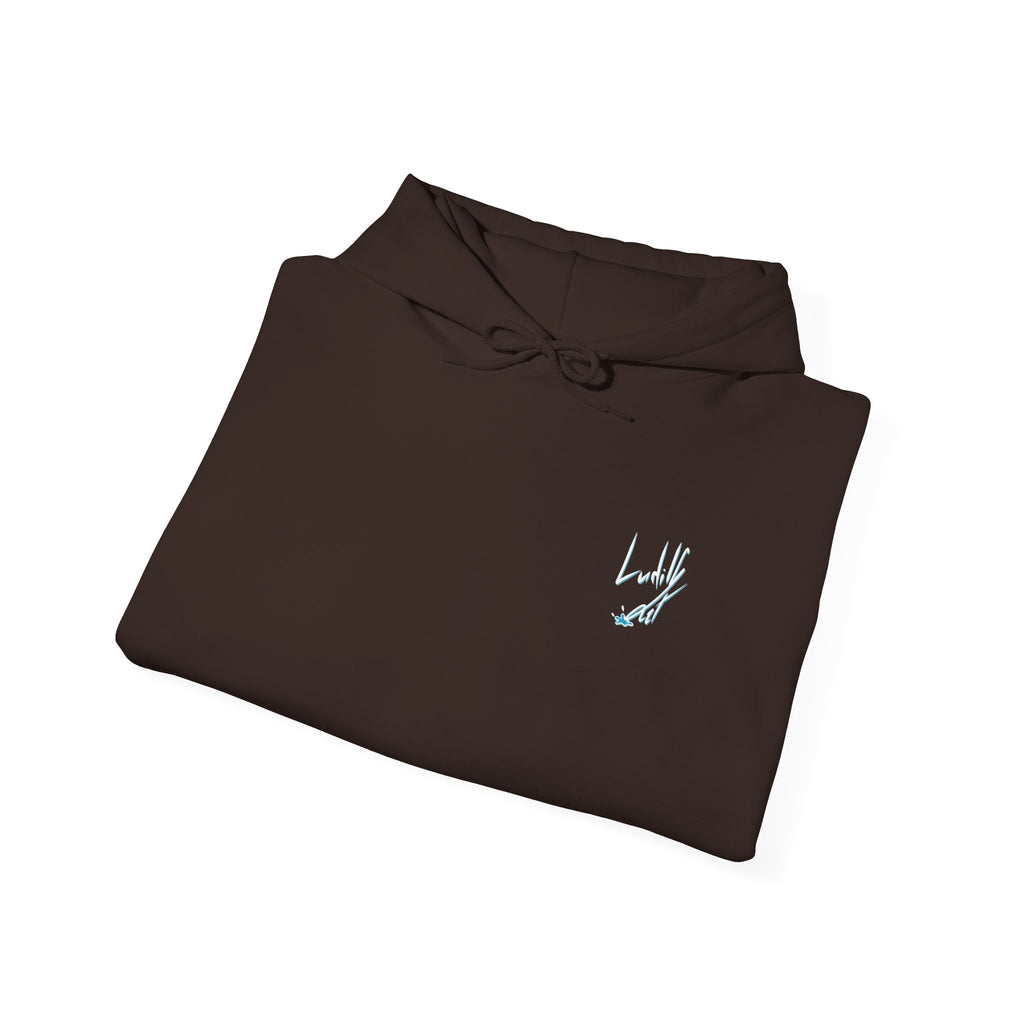 Lazy it's Crazy Unisex Heavy Blend™ Hooded Sweatshirt