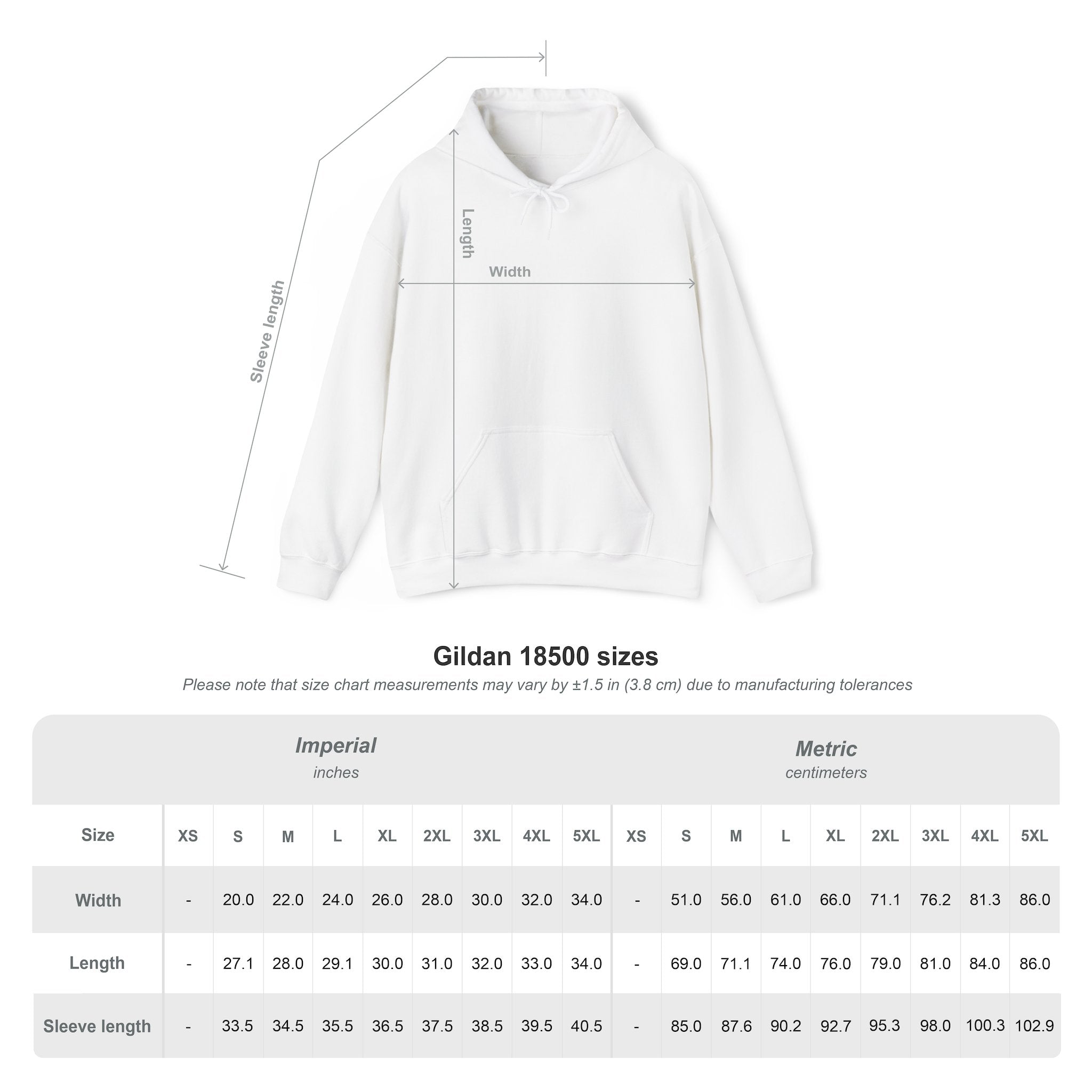 "This Is The Future" Hoodie — Illustrated Graphic Hoodie