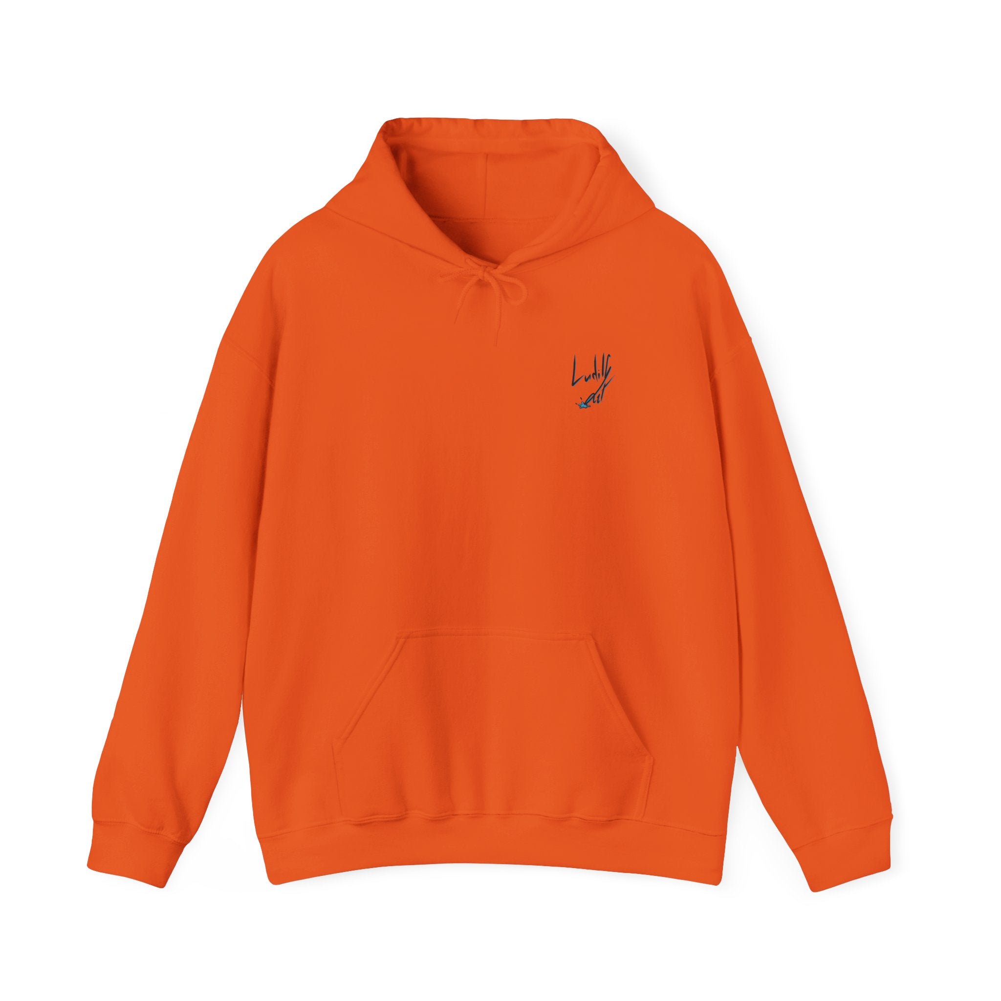 Lazy it's Crazy Unisex Heavy Blend™ Hooded Sweatshirt