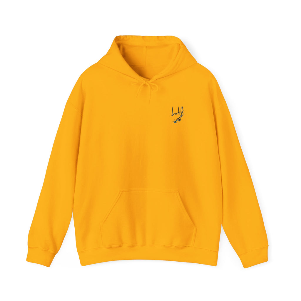 "This Is The Future" Hoodie — Illustrated Graphic Hoodie